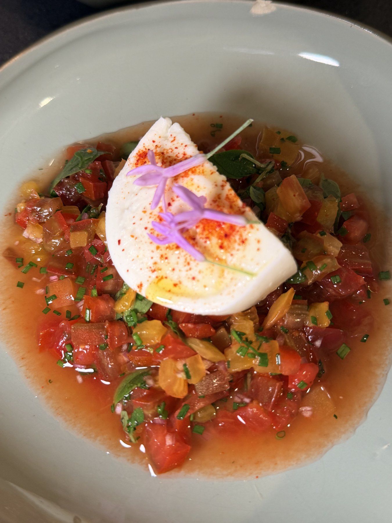 Burrata on a diced tomato salad, finished with edible flower petals, in a white bowl.